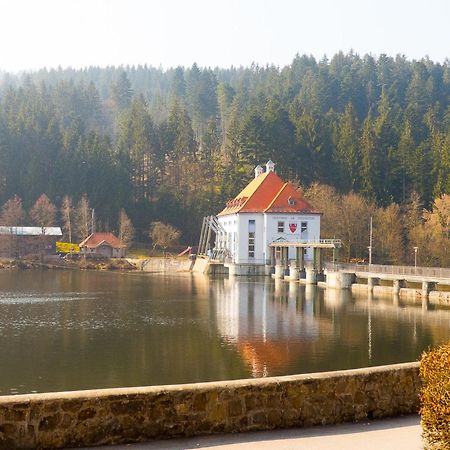 Ferienhaus Nr 15, Typ A, Feriendorf Jaegerpark, Bayerischer Wald Viechtach Zewnętrze zdjęcie