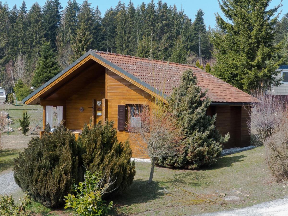 Ferienhaus Nr 15, Typ A, Feriendorf Jaegerpark, Bayerischer Wald Viechtach Zewnętrze zdjęcie